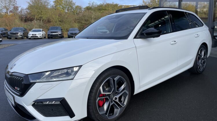 Octavia Combi 2,0TSI RS Pano 19