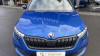 Kamiq 1,0TSi DSG Monte Carlo 17″ Navi Kamera