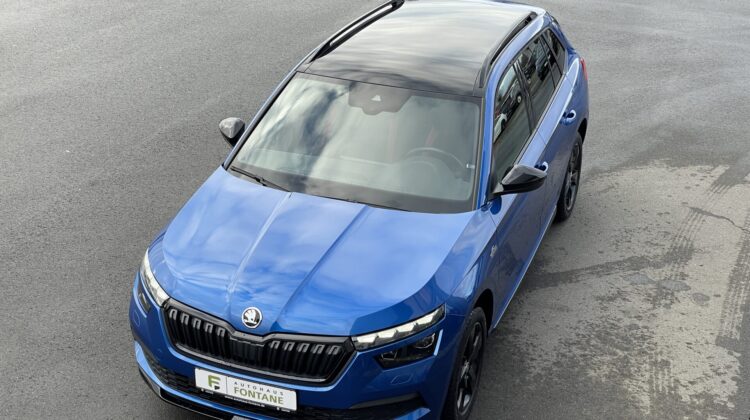 Kamiq 1,0TSi DSG Monte Carlo 17″ Navi Kamera