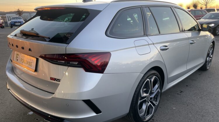 Octavia Combi 2,0TSi RS Pano AHK 360° Canton 19