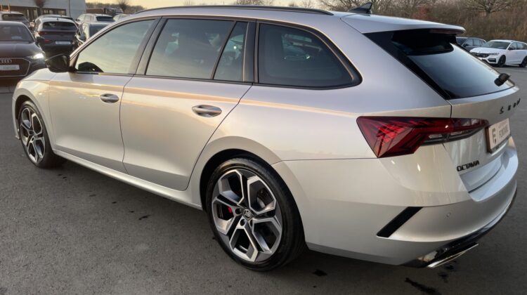 Octavia Combi 2,0TSi RS Pano AHK 360° Canton 19