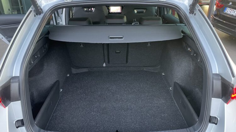 Octavia Combi 2,0TSi RS Pano AHK 360° Canton 19