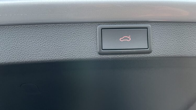 Octavia Combi 2,0TSi RS Pano AHK 360° Canton 19