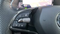 Octavia Combi 2,0TSi RS Pano AHK 360° Canton 19