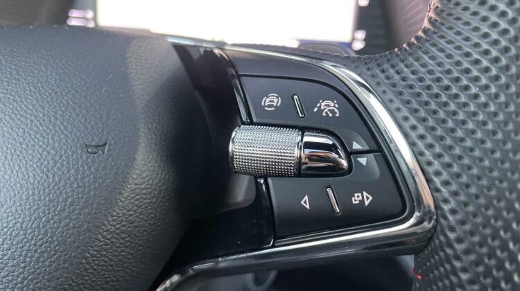 Octavia Combi 2,0TSi RS Pano AHK 360° Canton 19