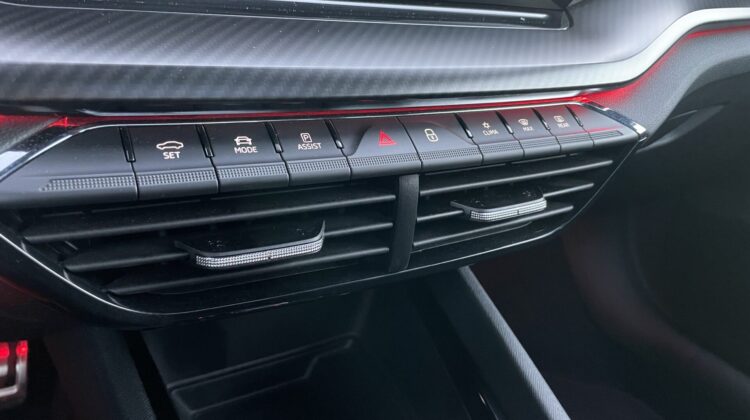 Octavia Combi 2,0TSi RS Pano AHK 360° Canton 19