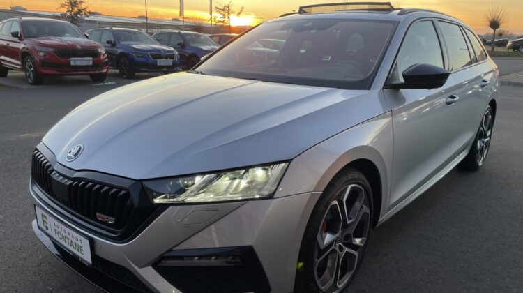 Octavia Combi 2,0TSi RS Pano AHK 360° Canton 19
