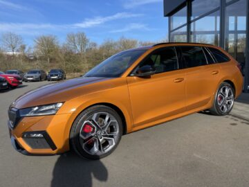 Octavia Combi 2,0TSI RS Pano 19