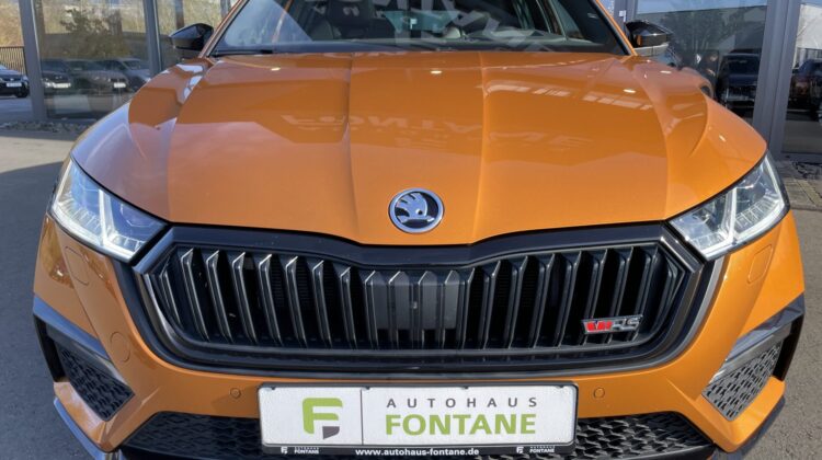 Octavia Combi 2,0TSI RS Pano 19