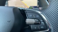 Octavia Combi 2,0TSI RS Pano 19