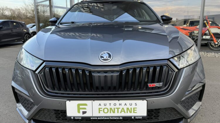 Octavia Combi 2.0TSI RS Pano 19