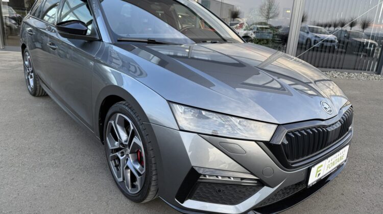 Octavia Combi 2.0TSI RS Pano 19