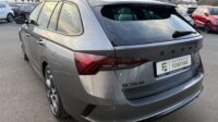 Octavia Combi 2.0TSI RS Pano 19