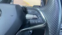 Octavia Combi 2,0TSi RS Pano AHK HUD Massage DCC