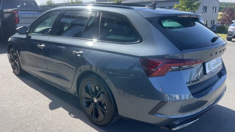 Octavia Combi 2,0TSi RS Pano AHK HUD Massage DCC