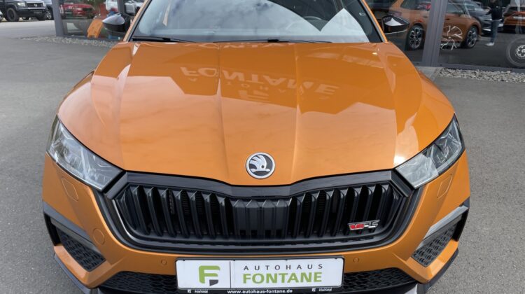 Octavia Combi 2,0TDi RS 4×4 Leder Standhz AHK