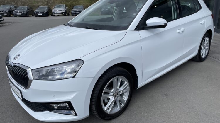 Fabia Selection Schalter Navi Key Lenkradhz Kam
