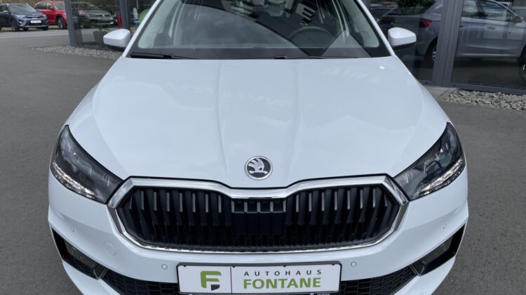Fabia Selection Schalter Navi Key Lenkradhz Kam