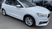 Fabia Selection Schalter Navi Key Lenkradhz Kam