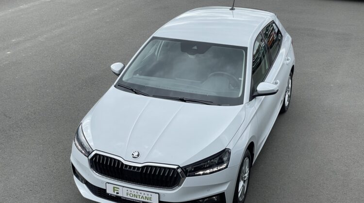 Fabia Selection Schalter Navi Key Lenkradhz Kam