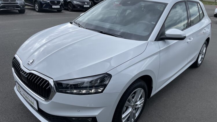 Fabia Selection Schalter Navi Key Lenkradhz Kam