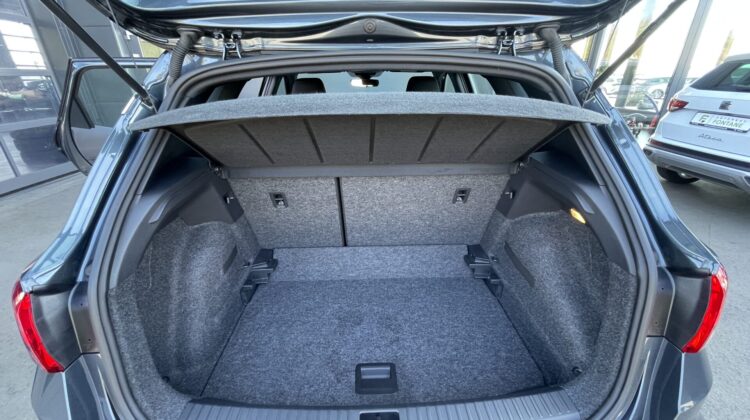 Arona 1,0TSi Xperience Sitzhz.Navi LED Kamera