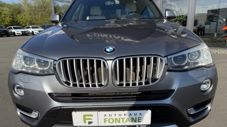 X3 xDrive 20 d Vollleder SHZ Kamera Xenon X-Line