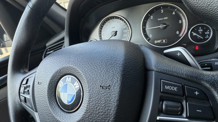 X3 xDrive 20 d Vollleder SHZ Kamera Xenon X-Line