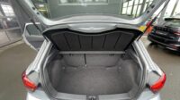 Ibiza Xcellence Navi SHZ VC Keyless LED 2xPDC