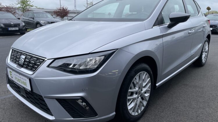 Ibiza Xcellence Navi SHZ VC Keyless LED 2xPDC