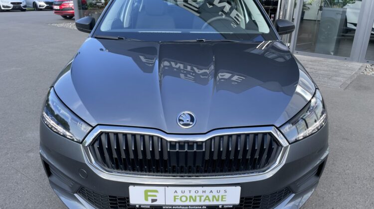 Fabia 1,0 Schalter Virtual Klima PDC LED Carplay