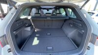 Kodiaq 2,0TSi RS Pano AHK Standhz 360°Canton DCC
