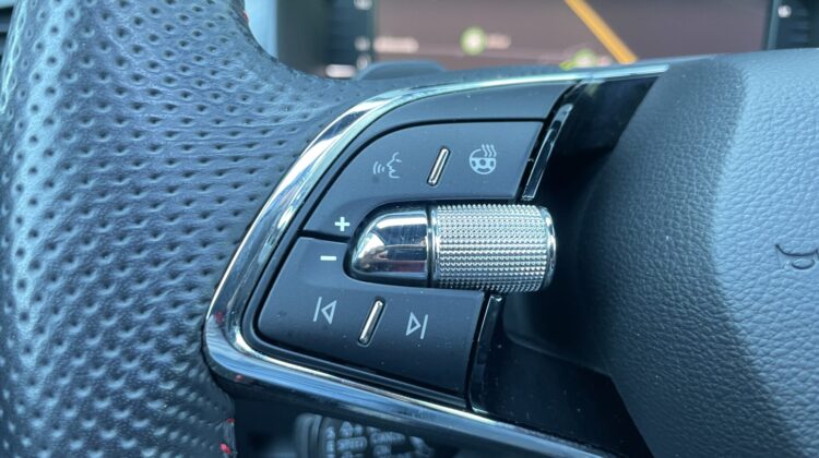 Kodiaq 2,0TSi RS Pano AHK Standhz 360°Canton DCC
