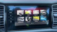 Kodiaq 2,0TSi RS Pano AHK Standhz 360°Canton DCC