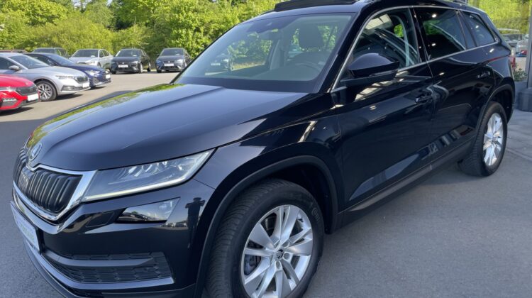 Kodiaq Style 4×4 Navi Kamera DSG LED