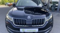 Kodiaq Style 4×4 Navi Kamera DSG LED