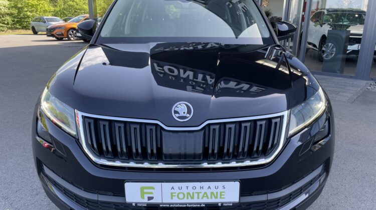 Kodiaq Style 4×4 Navi Kamera DSG LED