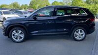 Kodiaq Style 4×4 Navi Kamera DSG LED