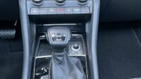 Kodiaq Style 4×4 Navi Kamera DSG LED
