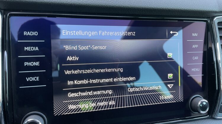 Kodiaq Style 4×4 Navi Kamera DSG LED