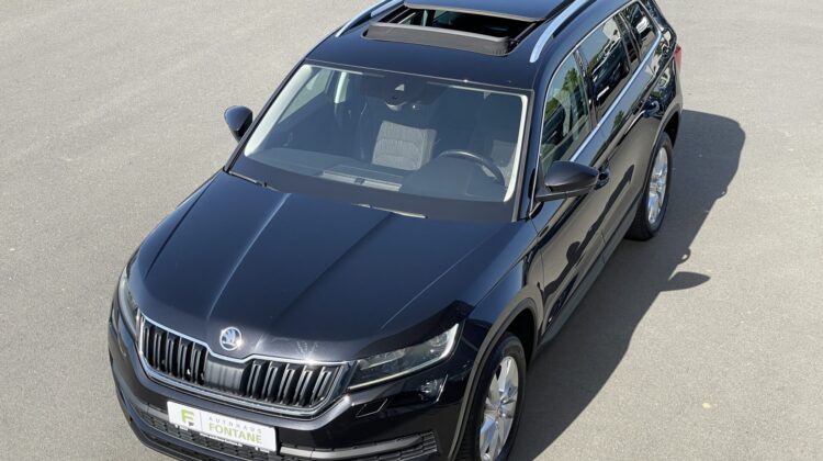 Kodiaq Style 4×4 Navi Kamera DSG LED