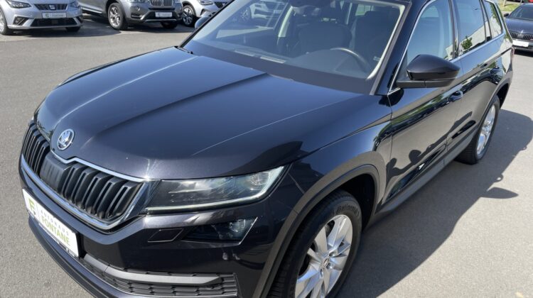 Kodiaq Style 4×4 Navi Kamera DSG LED