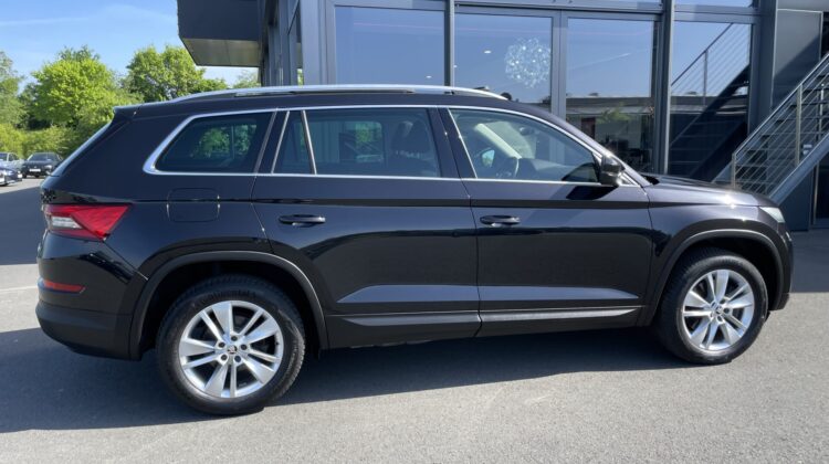 Kodiaq Style 4×4 Navi Kamera DSG LED