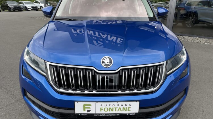 Kodiaq 2,0TDi L&K 4×4 Pano 360° Standhz Canton