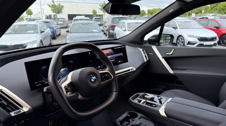iX 40 xDrive Sport 22″ Alu AHK Harmann/Kar. DAP