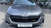 Kodiaq 2,0TSi RS 4×4 Leder Standhz Pano Canton