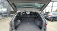 Kodiaq 2,0TSi RS 4×4 Leder Standhz Pano Canton
