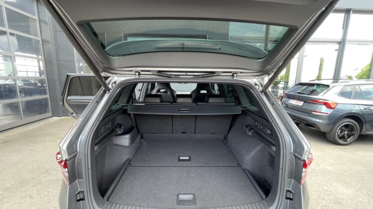 Kodiaq 2,0TSi RS 4×4 Leder Standhz Pano Canton
