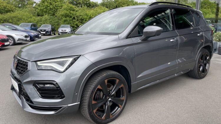 Cupra Ateca 4×4 2,0TSi AHKe Pano 19