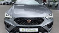 Cupra Ateca 4×4 2,0TSi AHKe Pano 19